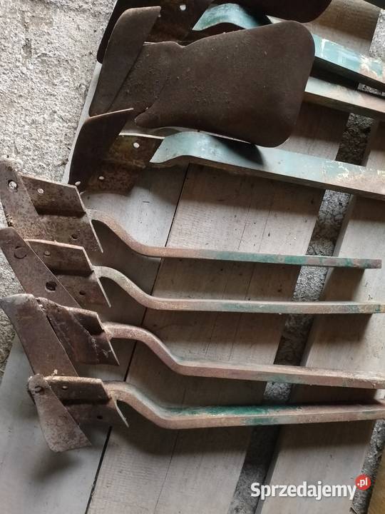 Przedpłużki vogel noot podkarpackie Brzezówka