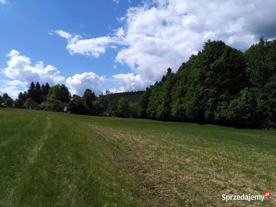 Działka z decyzją o war zabudowy Czarnej Góry 19000m2 Idzików