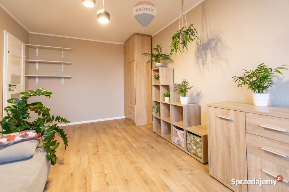 Do wynajęcia 3 pokoje w centrum Zielonej Góry lubuskie Zielona Góra