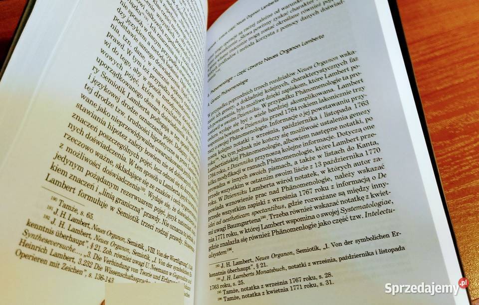 Problem Criterium veritatis w filozofii Johanna Gdańsk