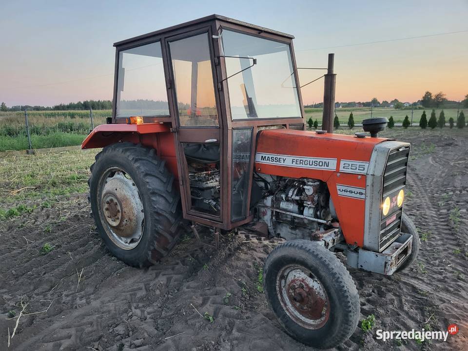 Mf255 1987 Miedniewice