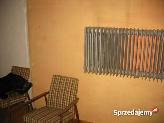 Do Dom i Działka Grunt w gm Raciąż Mława