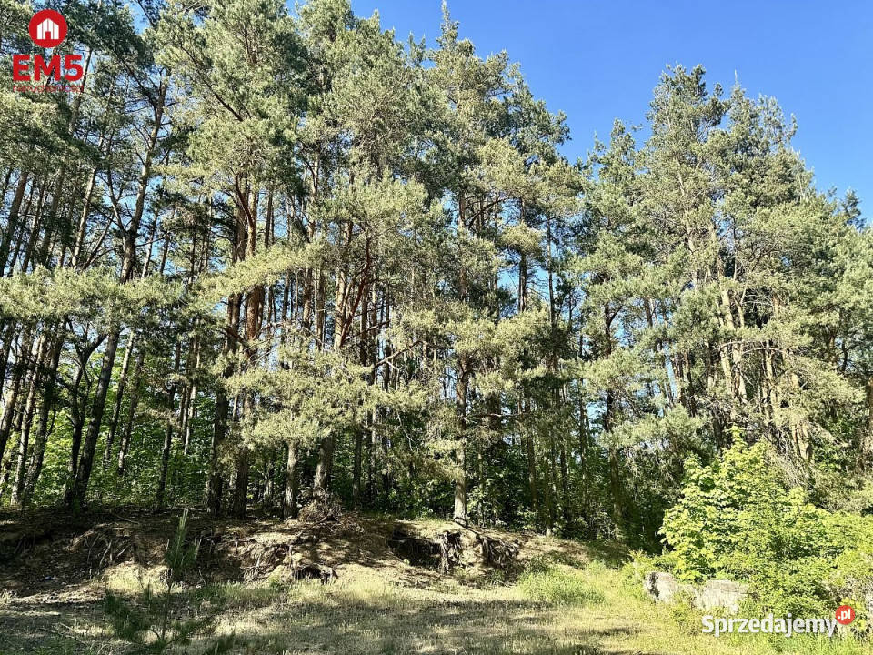 Do sprzedaży działka 1213m2 Sochonie szambo sprzedam