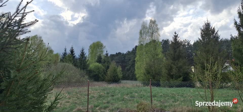 Dom Ocypel Bory Tucholskie Lubichowo