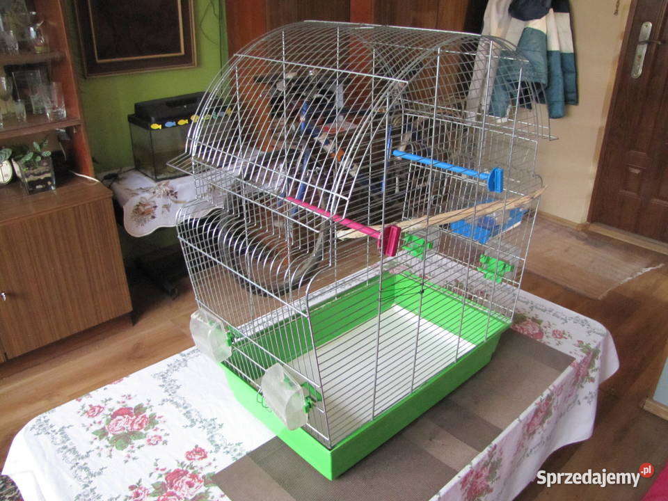 Duża klatka ptaków kujawsko-pomorskie Toruń