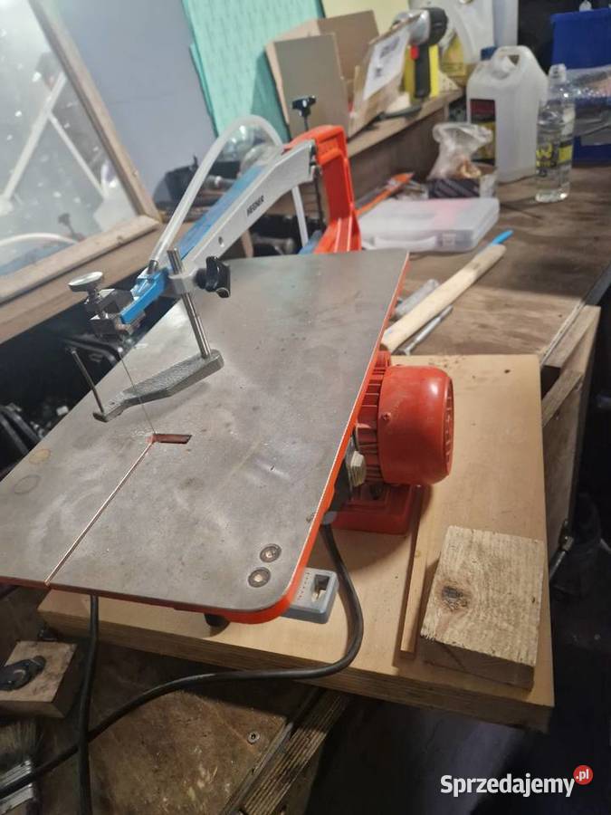 Piła włosiowa Dom i Ogród podkarpackie Narol