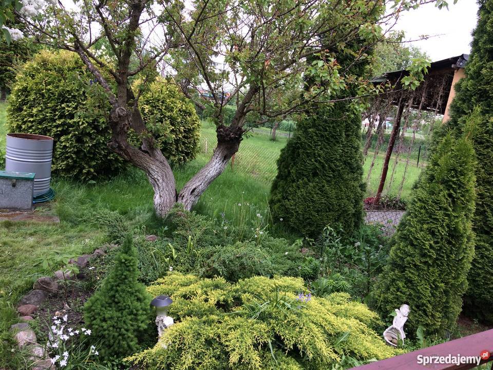 DZIAŁKA ROD TRANSPORTOWIEC JEZIORA RUDNICKIEGO