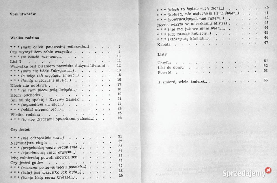 napisać poprawny biznesplan Beata Chełm