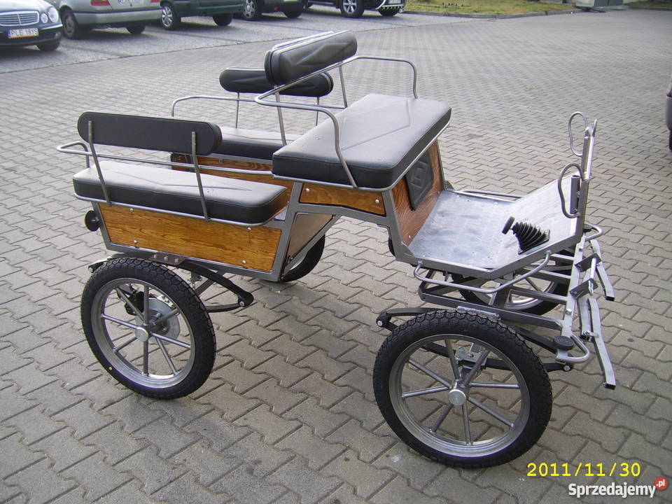 bryczka konna powóz konny wagonetta producent do wielkopolskie