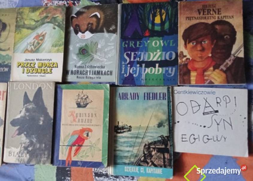 Fiedler Pokrowski Makarczyk Verne London Defoe łódzkie