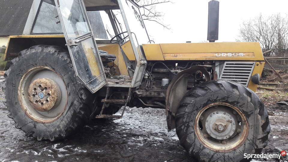 ursus 1204 Ciągniki Rojewo