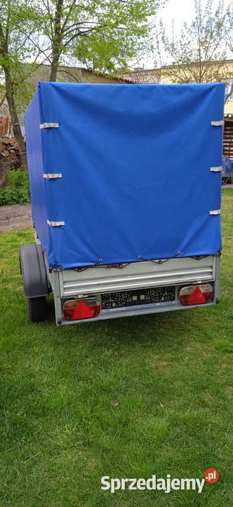 Przyczepka samochodowa Marki Stema 750 DMC wielkopolskie Rogoźno sprzedam