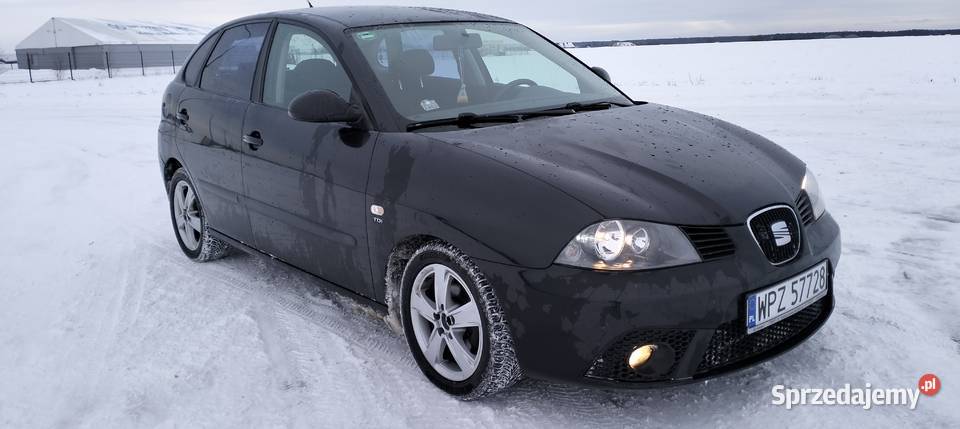 Seat Ibiza 2008 19 TDI 100 Zadbany doinwestowany 1900cm3 Jednorożec