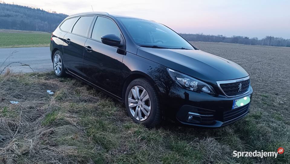 Peugeot 308 elektryczne lusterka Pieszyce