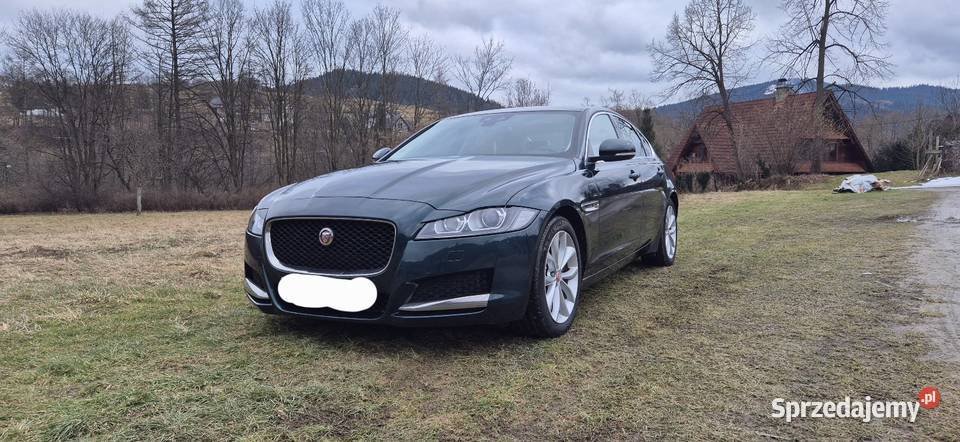 Jaguar XF 30 diesel 300 Prestige ogranicznik prędkości Limanowa
