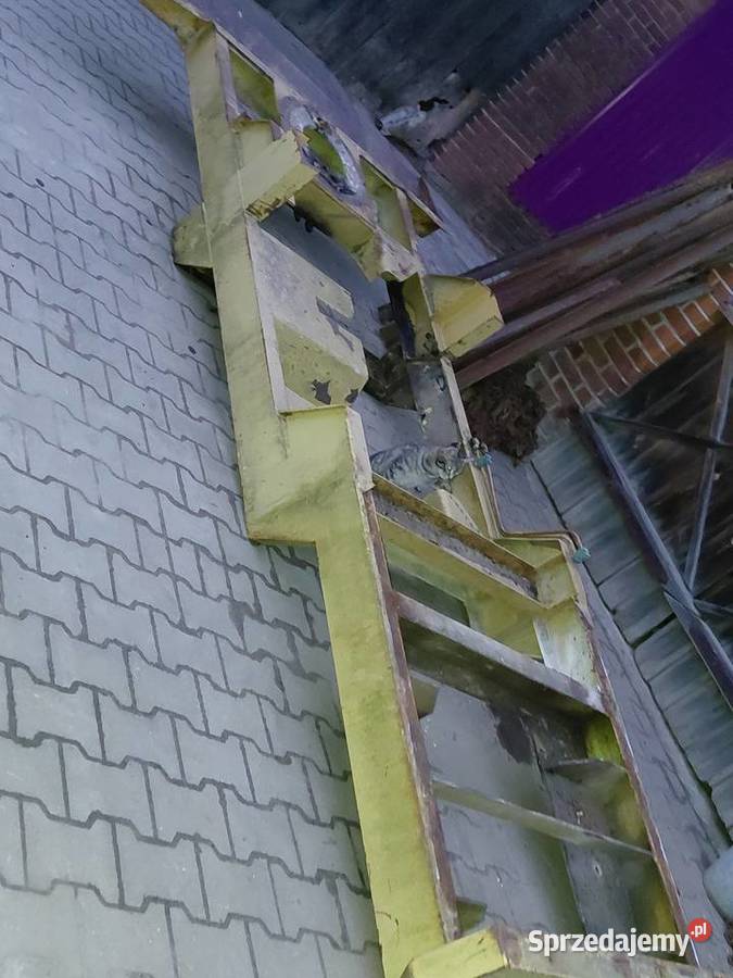 Rama rama Ciszyca Przewozowa