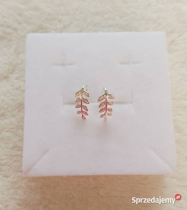 Nowe drobne kolczyki srebrne próba 925 liście zachodniopomorskie