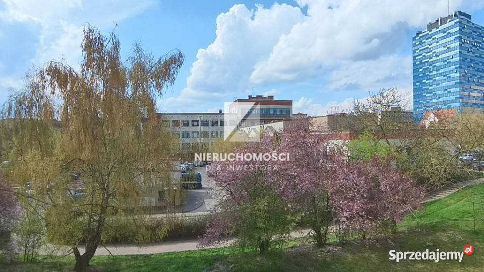 Przestronne mieszkanie w kamienicy 67 mkw 3 Gorzów Wielkopolski