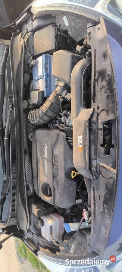 Hyundai i40 Premium Full wyposażenie ogranicznik prędkości i40 Osiek