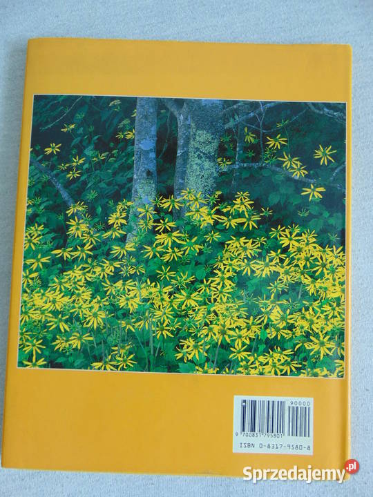 Album Wild Flowers Ann Reilly ISBN 0831795808 Lublin