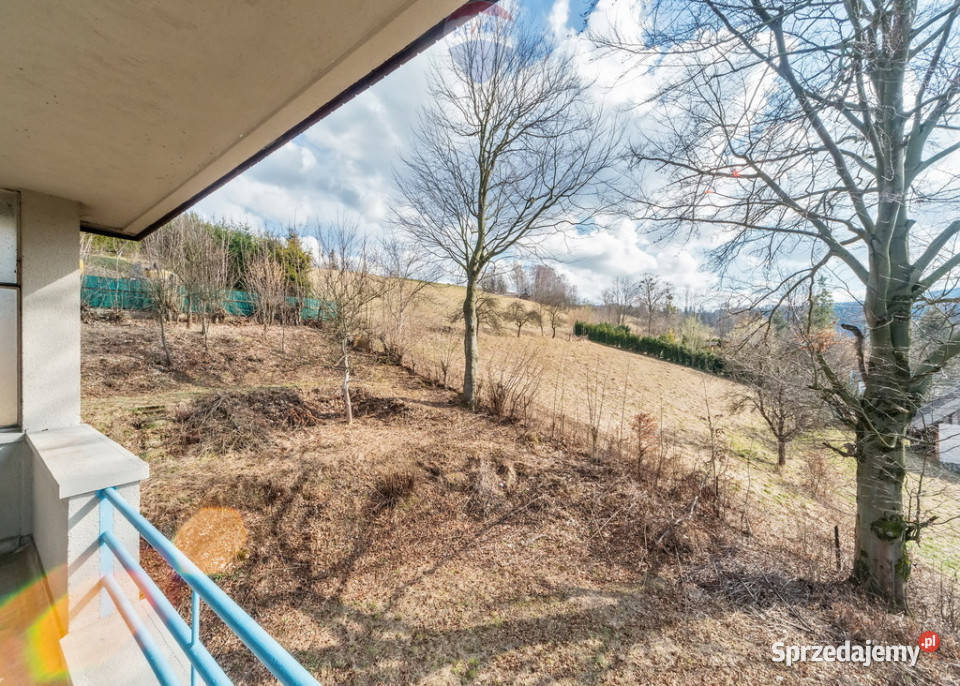 WYJATKOWA ZABYTKOWA WILLA W WIŚLE 6772zł/m2 Domy śląskie