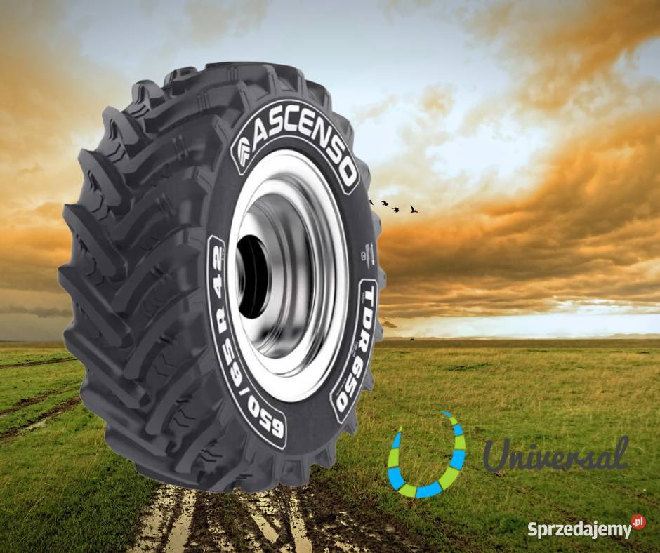 NOWE OPONY ASCENSO 54065R30 150D TDR 650 TL Opony Gdańsk