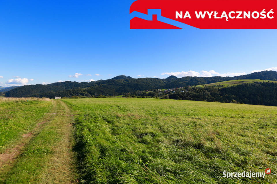 Działka w Grywałdzie 11003 ha warunki zabudowy Grywałd