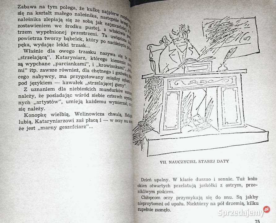 Wspomnienia niebieskiego mundurka Wiktor Chełm