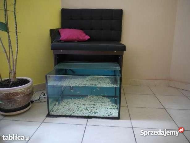 Fish Spa Pedicure Rybki Garra Rufa stanowisko Słupsk