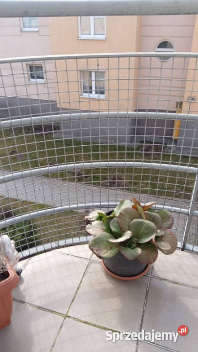 Sprzedam mieszkanie 29m Borkowska Kraków sprzedam