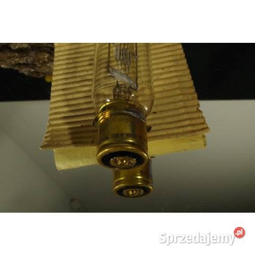 NARVA 66252 110 V 1000 W lampa projekcyjna