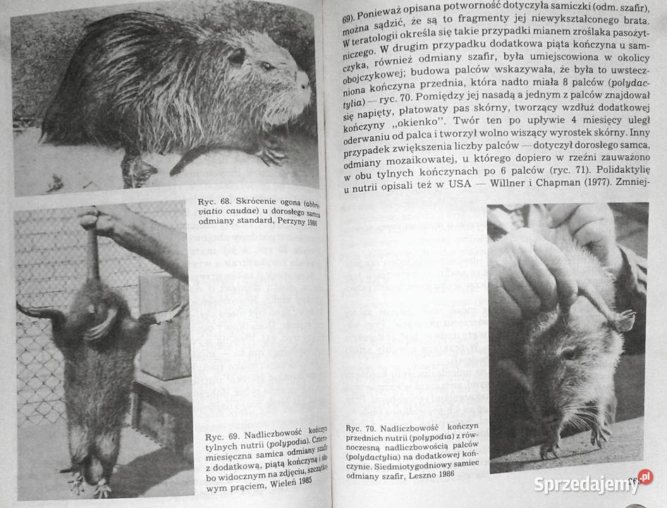 Choroby nutrii Witold Scheuring Chełm sprzedam