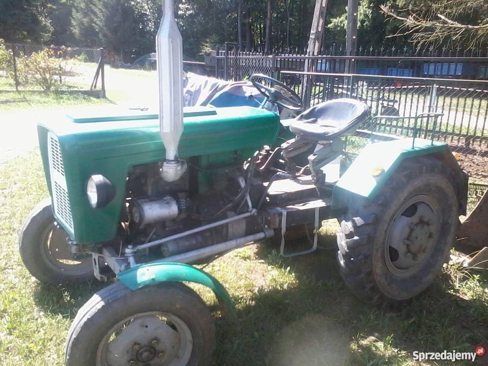 Sam ursus c 330 328 Wola Rzędzińska