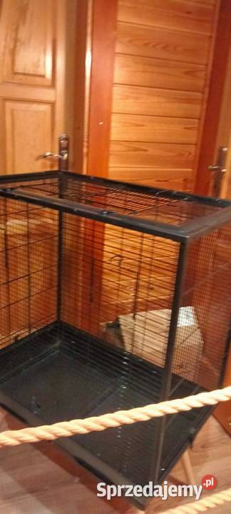 Zolux Klatka Neo Jili H80 Czarna ptaków papugi Białystok