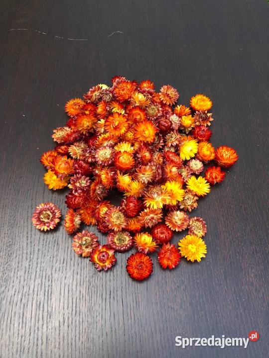 Naturalny OWIES pęczki zbóż suszone PĘCZKI OWSA lubelskie Lublin