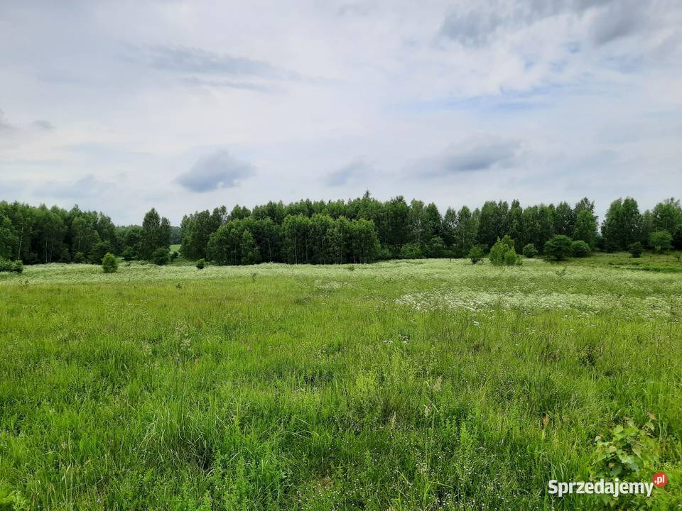 Kompleks działek 84ha z 8 WZ na Warmii Krekole budowlana Sprzedaż
