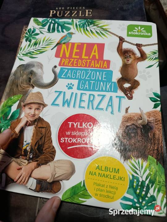 Nela przedstawia zagrożone gatunki zwierząt Poznań