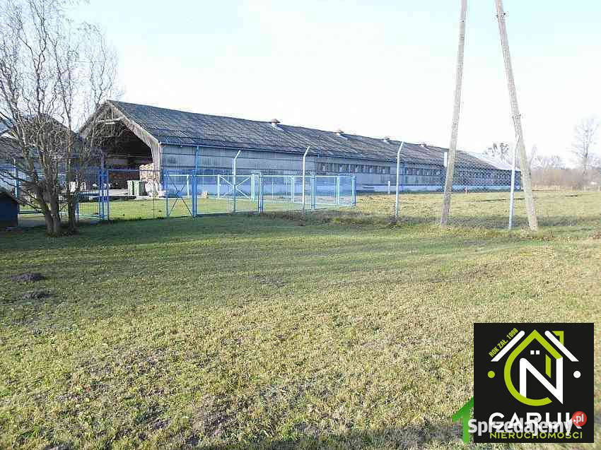 Lokal 4115m2 Wolin 4115m2