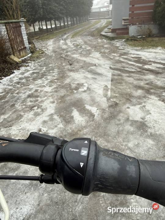 Rower Batavus Quip 28 7 biegow OPIS Turek