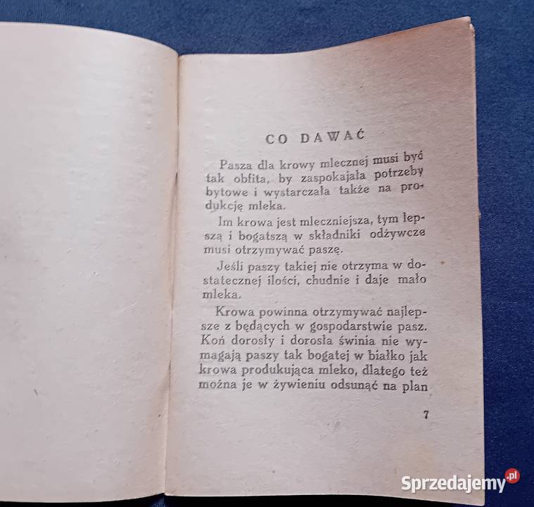 Inż J Prończuk Mormy żywienia krów w zimie
