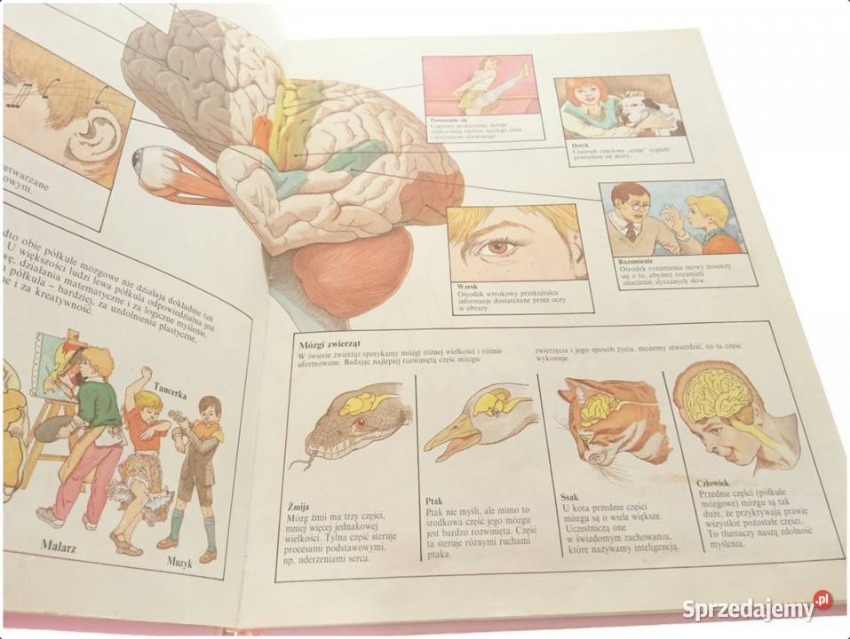 Ciało CzłowiekaZestaw2 Książki Łódź