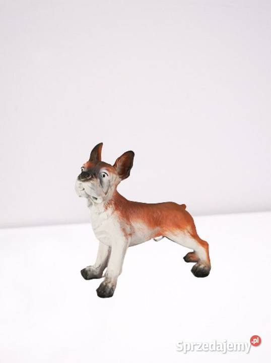 Dekoracja Figura Młody Buldog