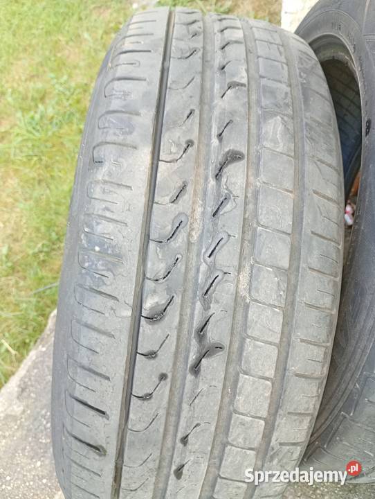Opony 205 55 16 pirelli całoroczne Kwiatów sprzedam