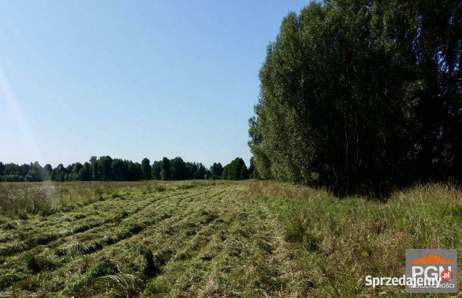 Działka 38300m2 Świerzno zachodniopomorskie