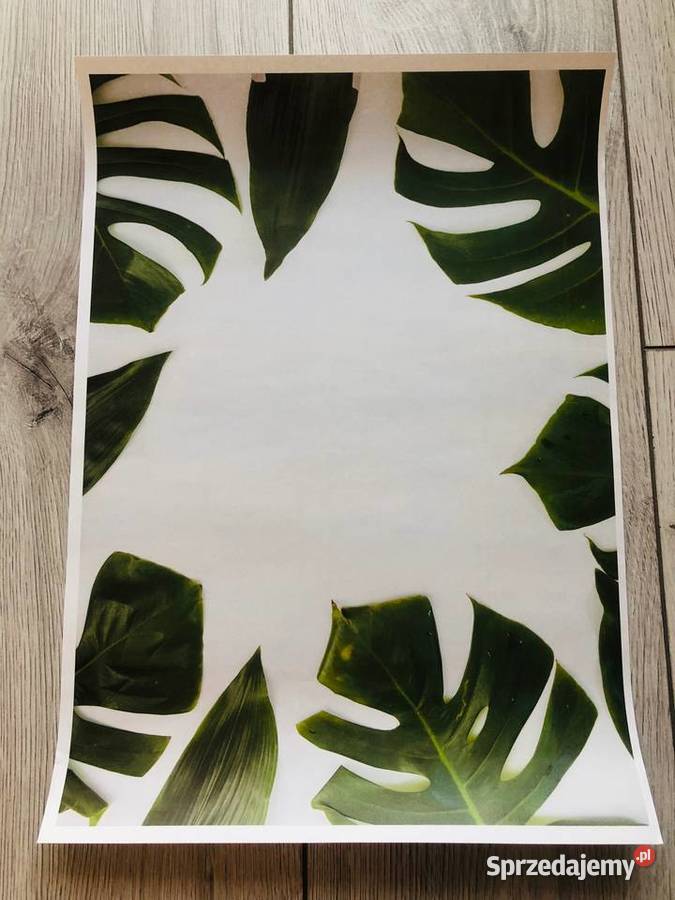 Obraz plakat liście zielony tropikalny natura 42 Łódź