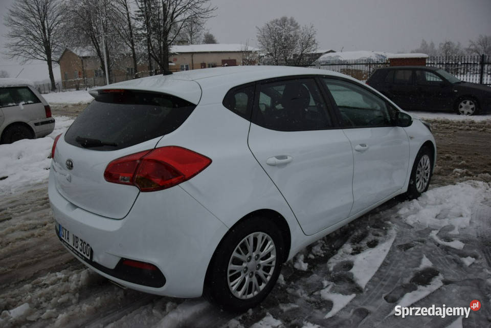 Kia Ceed 14B 2015r Kamera 2 Kpl Kół Grzane Kia Majdan Sieniawski
