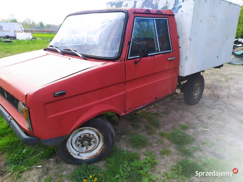 Tarpan Tarpan podkarpackie Nisko
