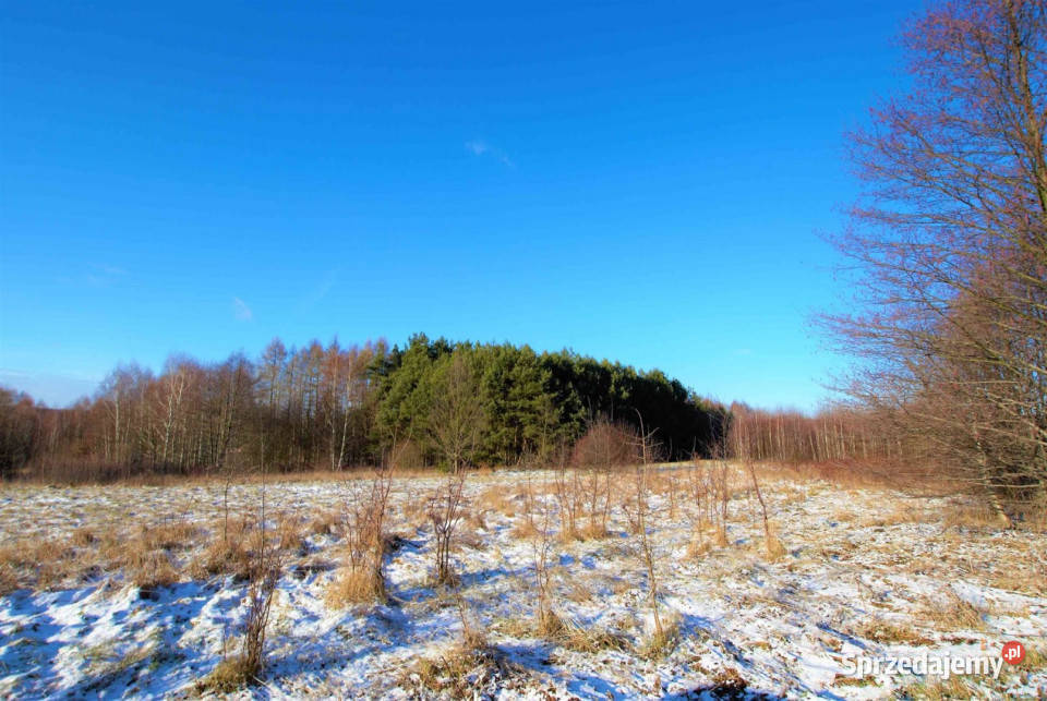Działka Ćmińsk 6600m sprzedam