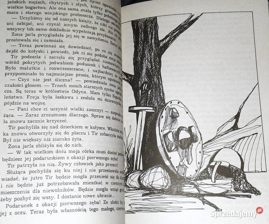 Porwani wikingów Torill Thorstad Hauger miękka z obwolutą