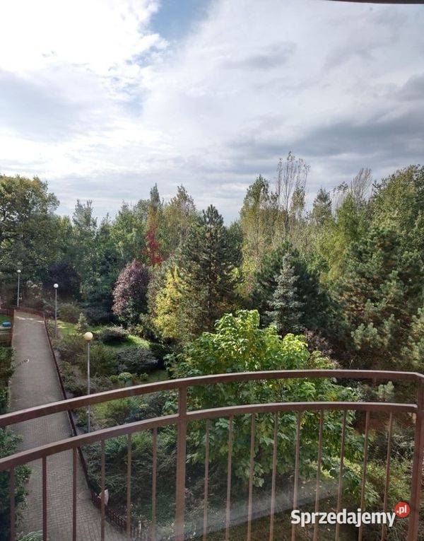 2pok 54met Porannej BALKONKOMÓRKA Wrocław sprzedam